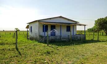 Imagem 6: Fazenda Agropecuária em Pontal do Ipiranga com 110 Alqueires 17 mantas com Água