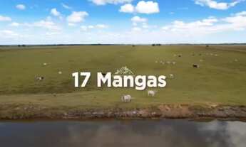 Imagem 2: Fazenda Agropecuária em Pontal do Ipiranga com 110 Alqueires 17 mantas com Água