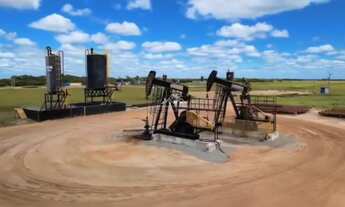 Imagem 4: Fazenda Agropecuária em Pontal do Ipiranga com 110 Alqueires 17 mantas com Água