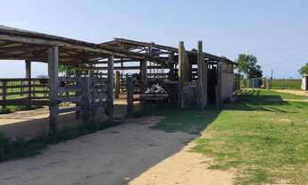 Imagem 7: Fazenda Agropecuária em Pontal do Ipiranga com 110 Alqueires 17 mantas com Água