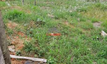 Imagem: Terreno de 600m² à venda no Jardim Ipaussurama