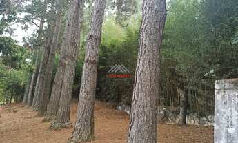 Imagem 6: Chácara de luxo no Bairro dos Silvas em Morungaba-SP: 4 quartos, 2 suítes, área gourmet e