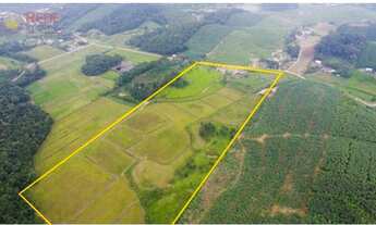 Imagem 3: Sítio com 13 hectares, com área produtiva de 7 hectares (arrozeira