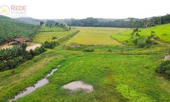 Imagem 5: Sítio com 13 hectares, com área produtiva de 7 hectares (arrozeira