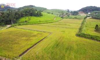 Imagem 6: Sítio com 13 hectares, com área produtiva de 7 hectares (arrozeira