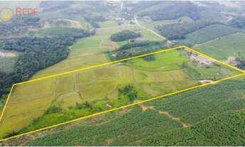 Imagem 2: Sítio com 13 hectares, com área produtiva de 7 hectares (arrozeira