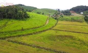 Imagem 4: Sítio com 13 hectares, com área produtiva de 7 hectares (arrozeira