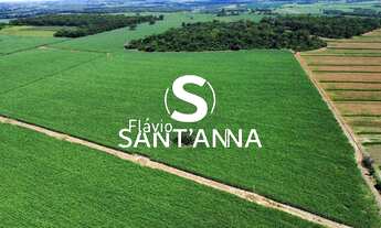 Imagem: Vende-se Sítio no Município de Indiaporã