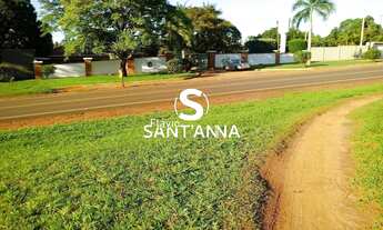 Imagem 6: VENDE-SE CHACÁRA EM INDIAPORÃ-SP