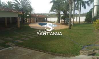 Imagem 2: VENDE-SE CHÁCARA EM FERNANDÓPOLIS SP