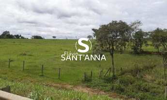 Imagem 5: Chácara à Venda de 1 Alqueire em Fernandópolis/SP