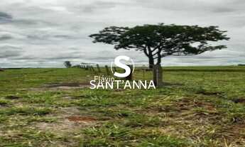 Imagem 4: Chácara à Venda de 1 Alqueire em Fernandópolis/SP