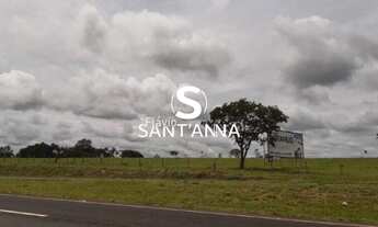 Imagem 7: Chácara à Venda de 1 Alqueire em Fernandópolis/SP