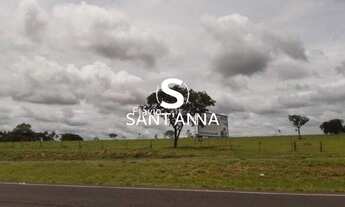 Imagem 3: Chácara à Venda de 1 Alqueire em Fernandópolis/SP