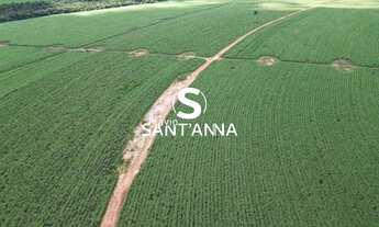 Imagem: Vende-se Fazenda em Paraíso das Águas