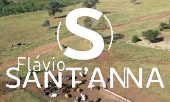 Imagem: Vende-se fazenda em Aparecida do Taboado