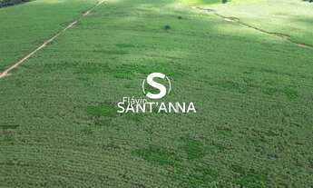 Imagem 3: Vende-se Fazenda em Paraíso das Águas - MS