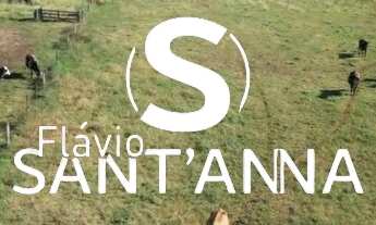 Imagem 2: Vende-se fazenda em Aparecida do Taboado - MS