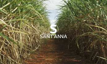 Imagem: Vende-se Sítio na região de Indiaporã