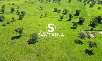 Imagem: Vende-se fazenda em Três Lagoas - MS