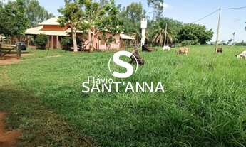 Imagem 2: Vende-se chácara em Ouroeste com 2 alqueires e meio