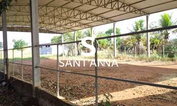 Imagem 6: Sítio à venda em Fernandópolis-SP