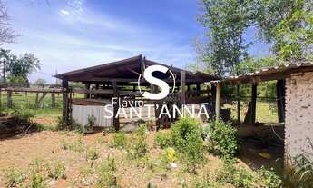 Imagem 7: Chácara à Venda - Tupinanba, Indiaporã/SP