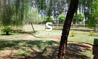 Imagem 6: Chácara com Casa à Venda em Mira Estrela - 8.000 m²