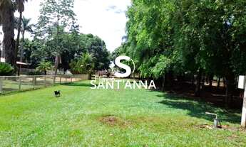 Imagem 3: Chácara com Casa à Venda em Mira Estrela - 8.000 m²