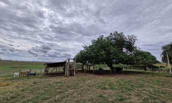 Imagem: Sítio à Venda Macedônia/SP (Área Rural
