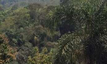 Imagem: CASA RESIDENCIAL em Mairiporã - SP, Caceia