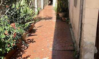 Imagem 2: TERRENO RESIDENCIAL em SÃO PAULO - SP, VILA GUSTAVO