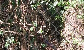 Imagem 4: CASA RESIDENCIAL em São Paulo - SP, Tremembé