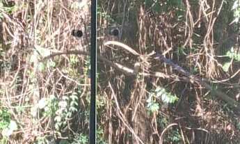 Imagem 2: CASA RESIDENCIAL em São Paulo - SP, Tremembé