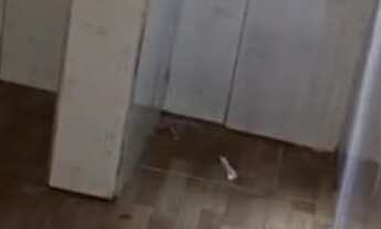 Imagem: CASA RESIDENCIAL em SÃO PAULO - SP, VILA