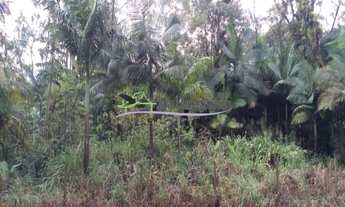 Imagem 7: ÁREA DE 84 HECTARES JD AGUAPEÚ ITANHAÉM- SP