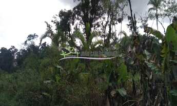 Imagem 4: ÁREA DE 84 HECTARES JD AGUAPEÚ ITANHAÉM- SP