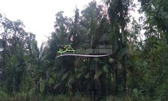 Imagem 5: ÁREA DE 84 HECTARES JD AGUAPEÚ ITANHAÉM- SP