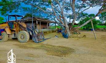Imagem: Fazenda com 84 alqueires (200 hectares