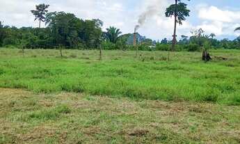 Imagem 4: Vende-se um sítio com 21 hectares