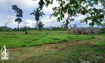 Imagem 5: Vende-se um sítio com 21 hectares