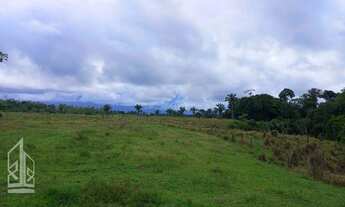 Imagem 2: Vende-se um sítio com 21 hectares