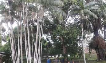 Imagem 5: SITIO RURAL em CANDEIAS DO JAMARI - RO, união