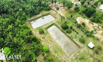 Imagem 4: CHACARA RURAL em PORTO VELHO - RO, ÁREA RURAL DE PORTO VELHO