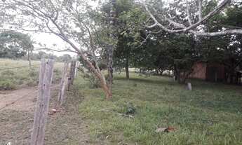 Imagem 4: SITIO RURAL em CANDEIAS DO JAMARI - RO, união