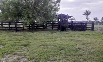 Imagem: SITIO RURAL em CANDEIAS DO JAMARI - RO