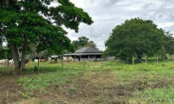 Imagem 7: SITIO RURAL em ITAPUÃ DO OESTE - RO, itapuã do oeste