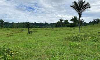 Imagem 2: SITIO RURAL em ITAPUÃ DO OESTE - RO, itapuã do oeste