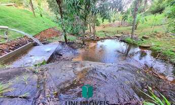 Imagem 7: Terreno de 1032m² com água nascente a venda em ótima localização em Anchieta (15 min da BR