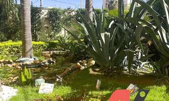 Imagem: APARTAMENTO VIDA NOVA OSASCO - PRES. ALTINO